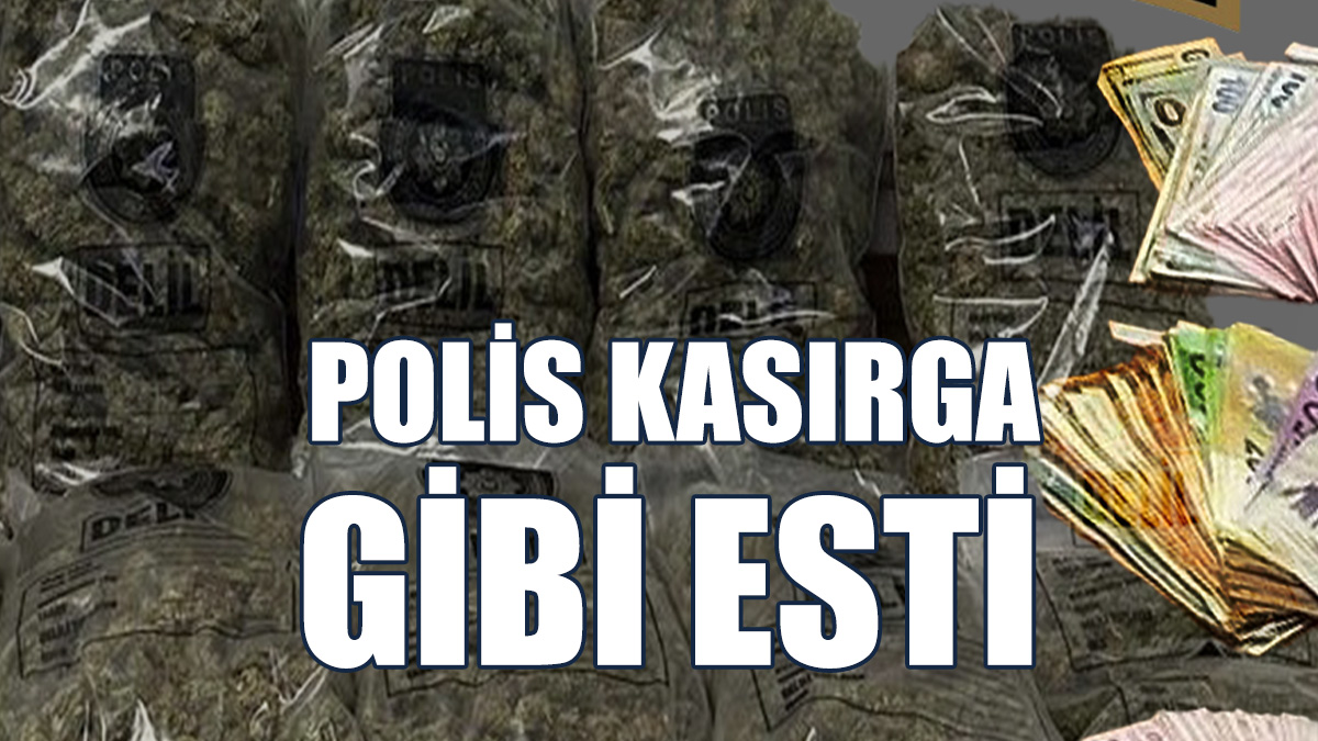 Girne'de Büyük Operasyon!