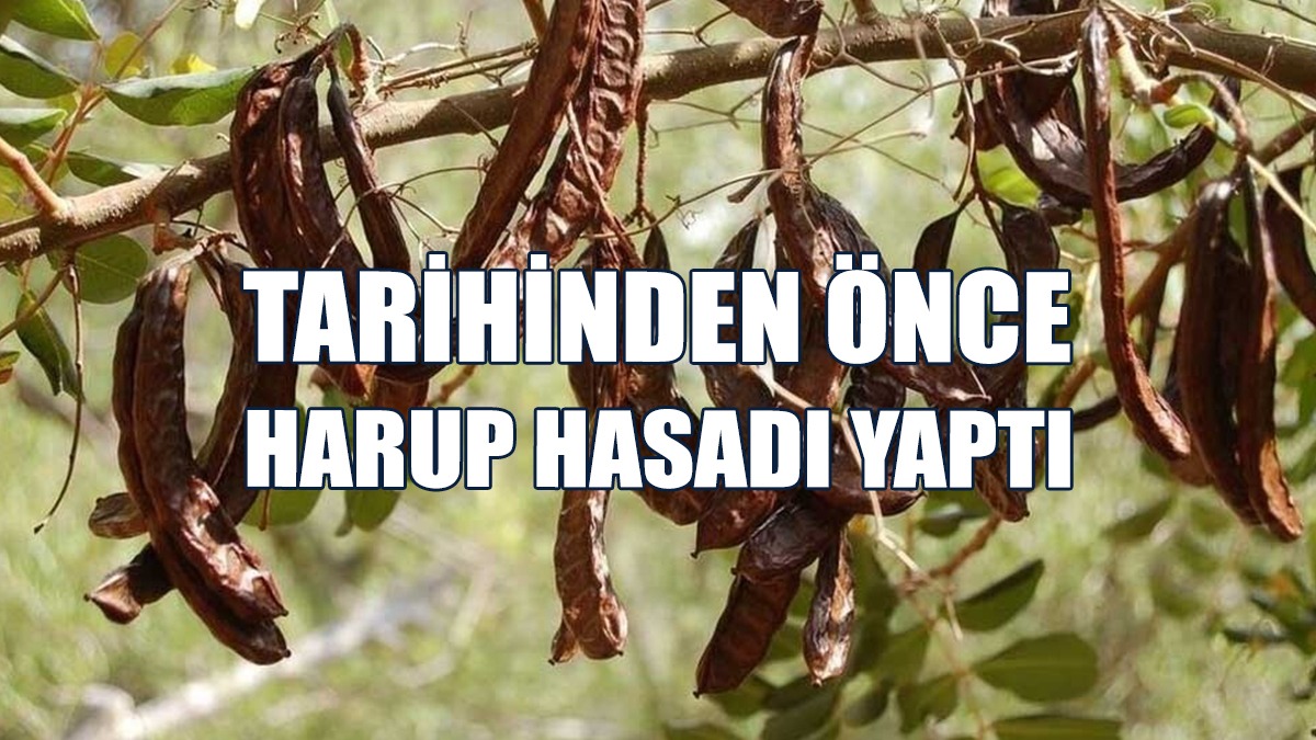 Şahıs Aleyhinde Yasal İşlem Başlatıldı