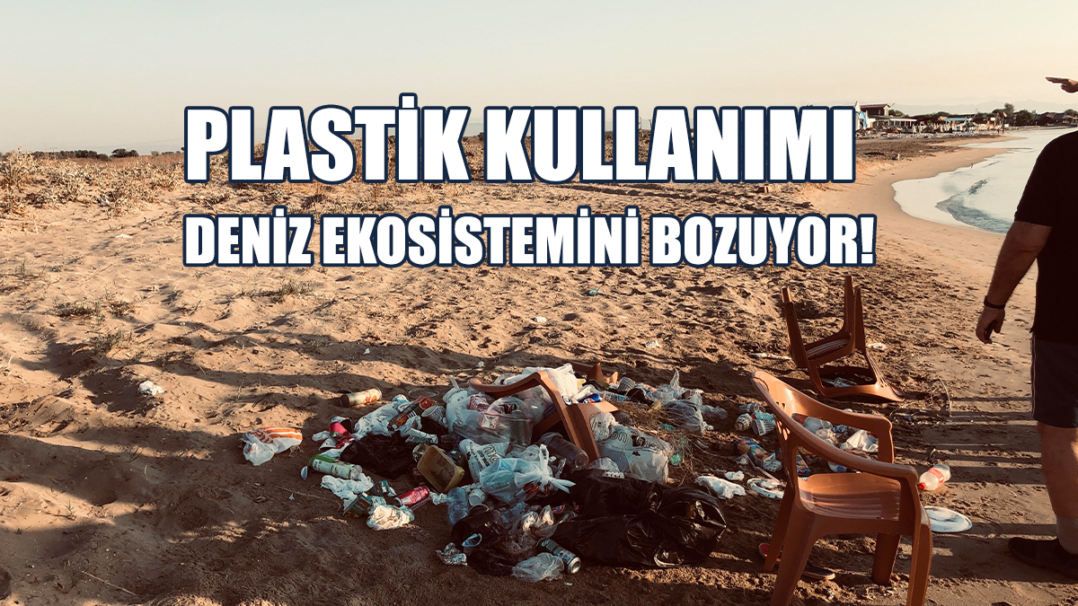 Plastik Kullanımı Deniz Ekosistemini Bozuyor!