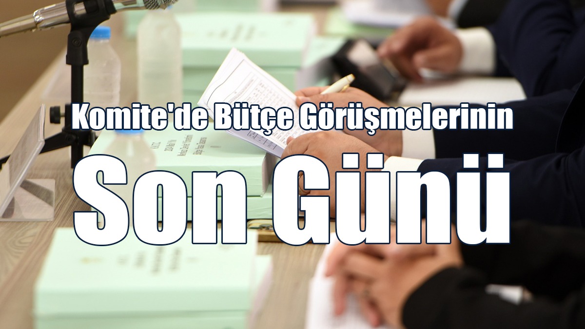 Komite'de Bütçe Görüşmelerinin Son Günü