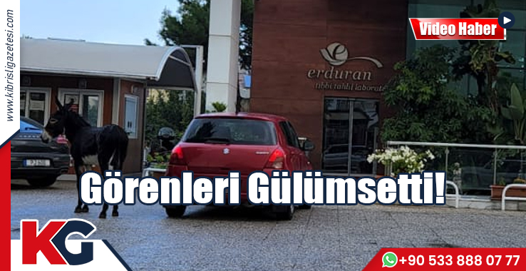 Görenleri Gülümsetti!