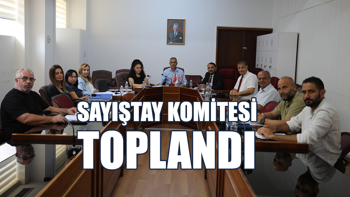 Sayıştay Komitesi Toplandı