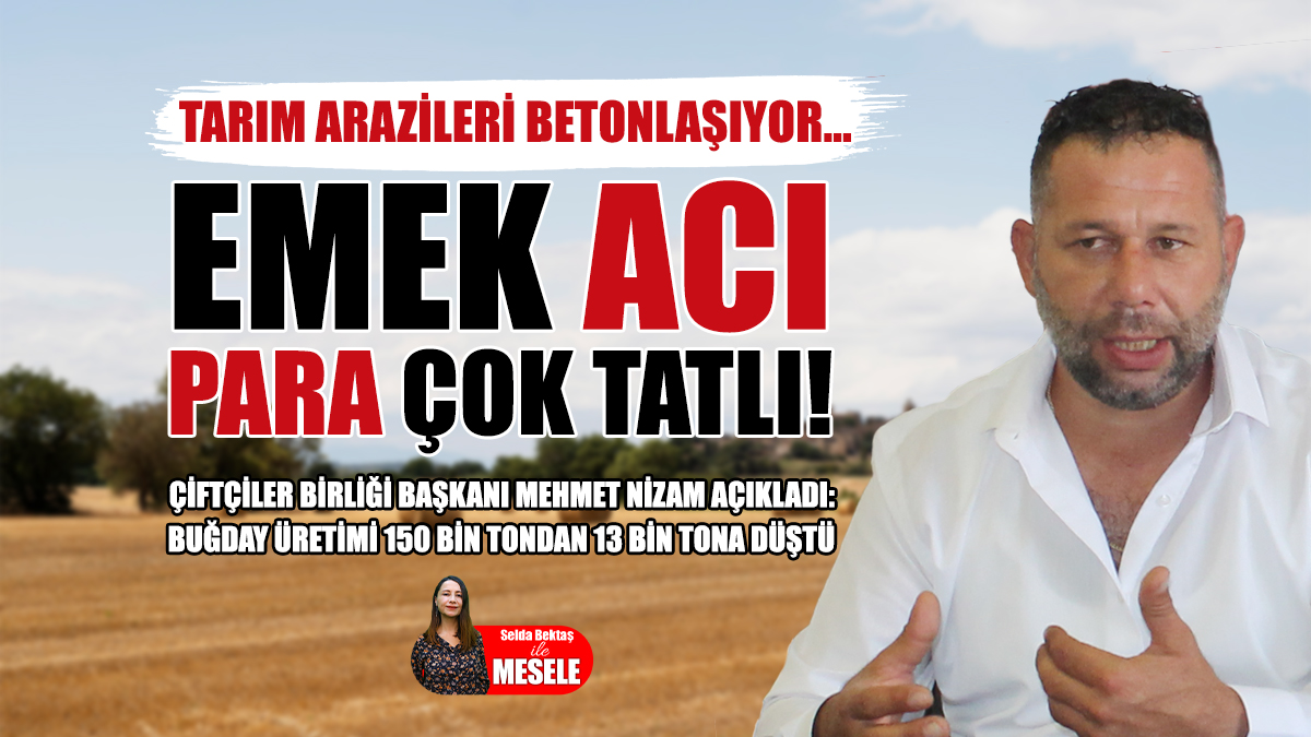 Binlerce Dönüm Tarım Arazisi Satıldı: Toprak Koruma Yasası Çıkarılacak mı?