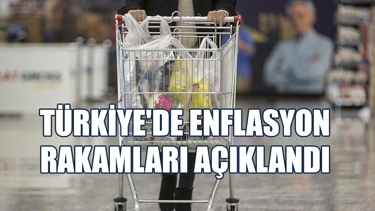 TÜFE Yüzde 2,97, Yİ-ÜFE Yüzde 1,37 Arttı