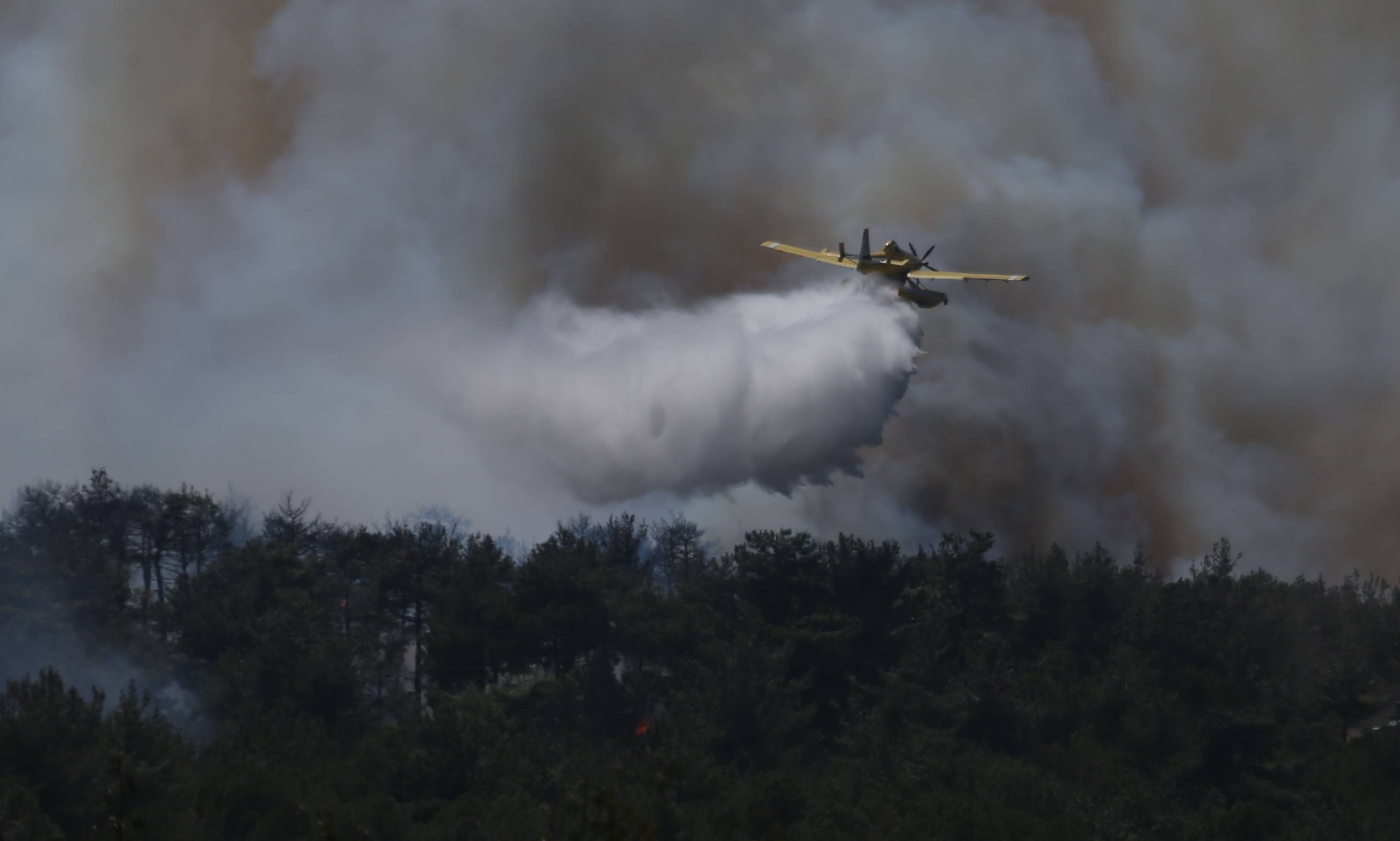 Çanakkale'de orman yangını: Söndürme çalışmaları sürüyor