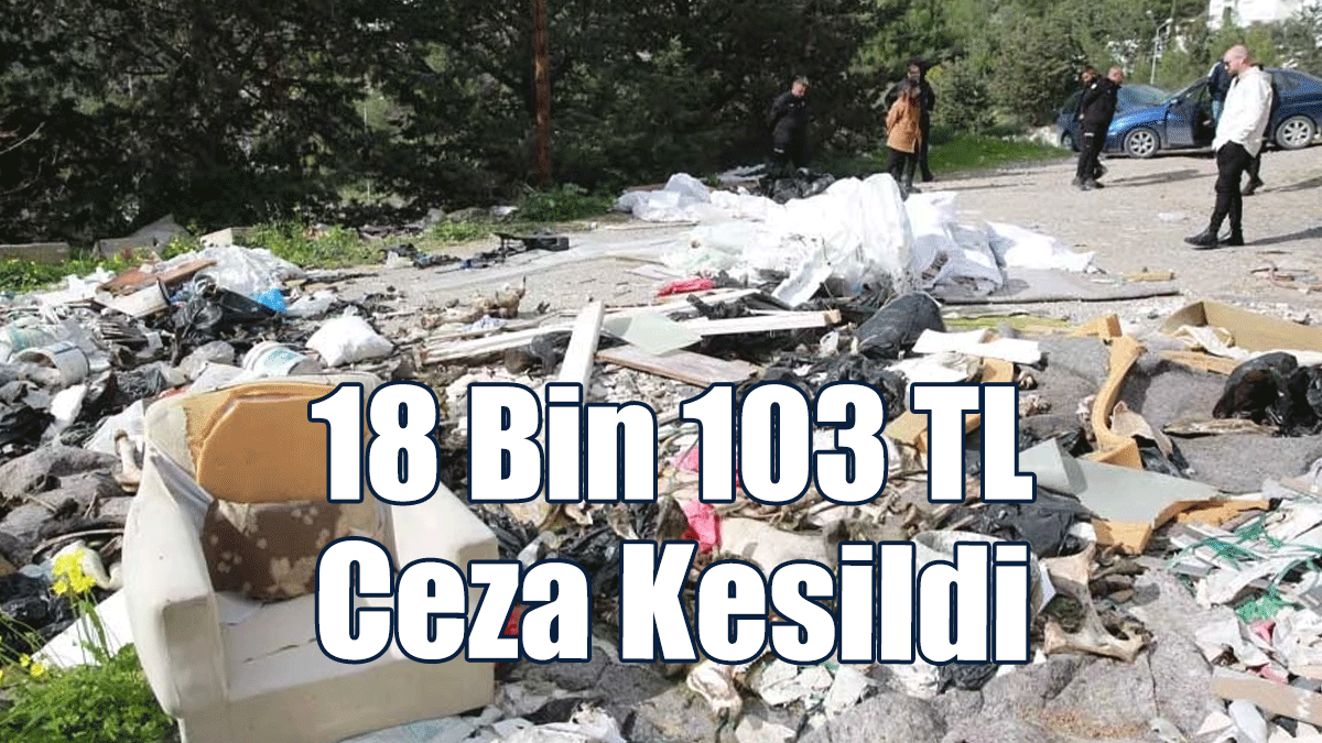 Dikmen’de Araziye Moloz Dökmek Pahalıya Patladı