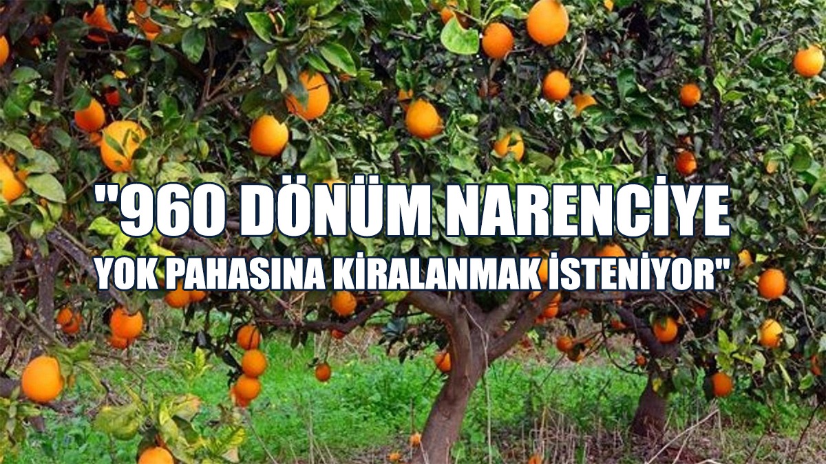 “Sendikamız Sayıştay Başkanlığı’na Suç Duyurusunda Bulunacak”