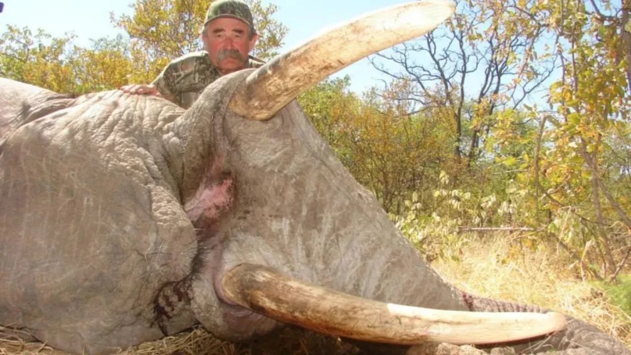 Milyoner iş insanını filler ezdi