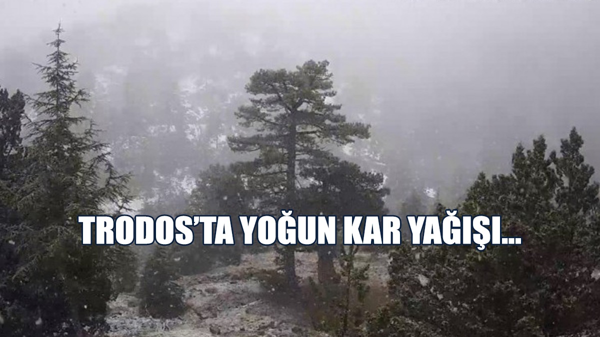 Trodos’ta Yoğun Kar Yağışı…