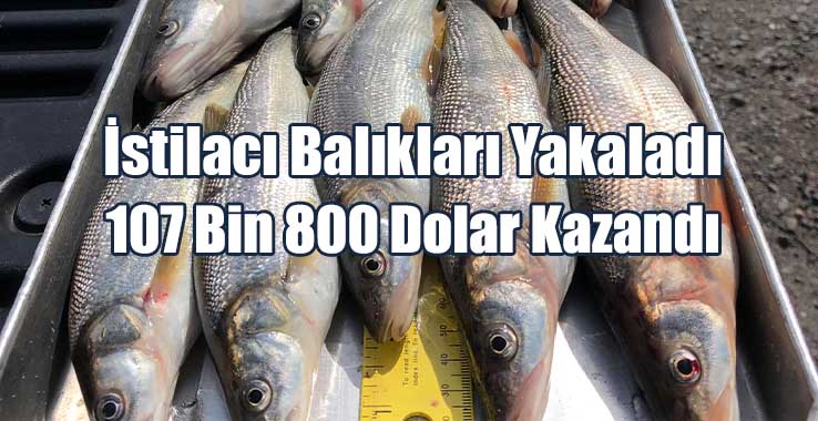 Balıkçı, 10 bin 755 Av Yakaladı