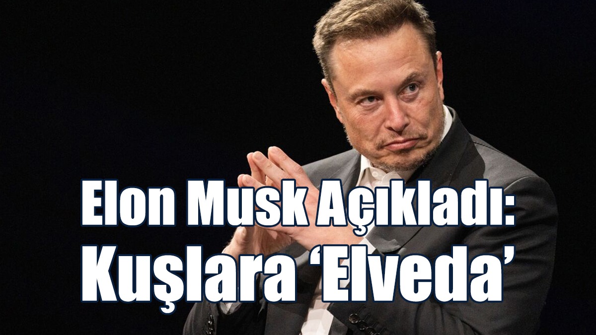 Elon Musk Açıkladı: Kuşlara ‘Elveda’