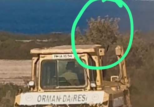 Hasan Sarpten: Kuzuyu kurda emanet etmişiz!