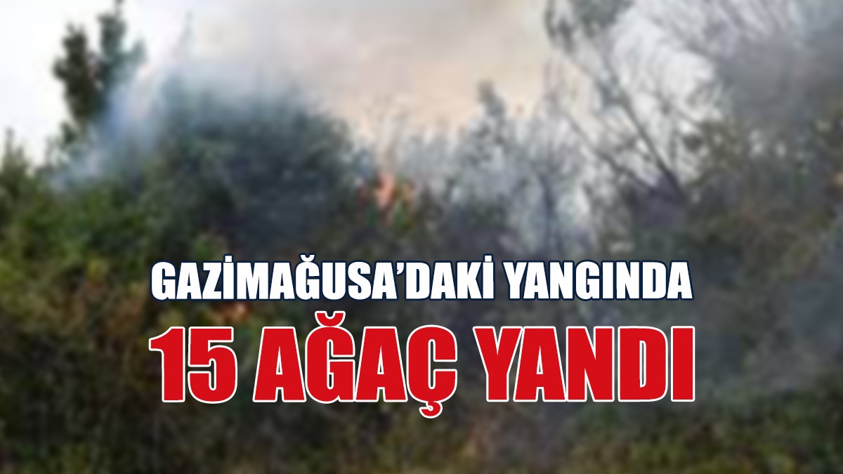 Gazimağusa’da Arazi Yangını