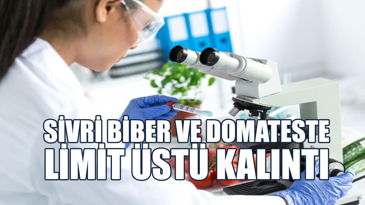 Gıda Analizlerinde Sonuçlar Açıklandı