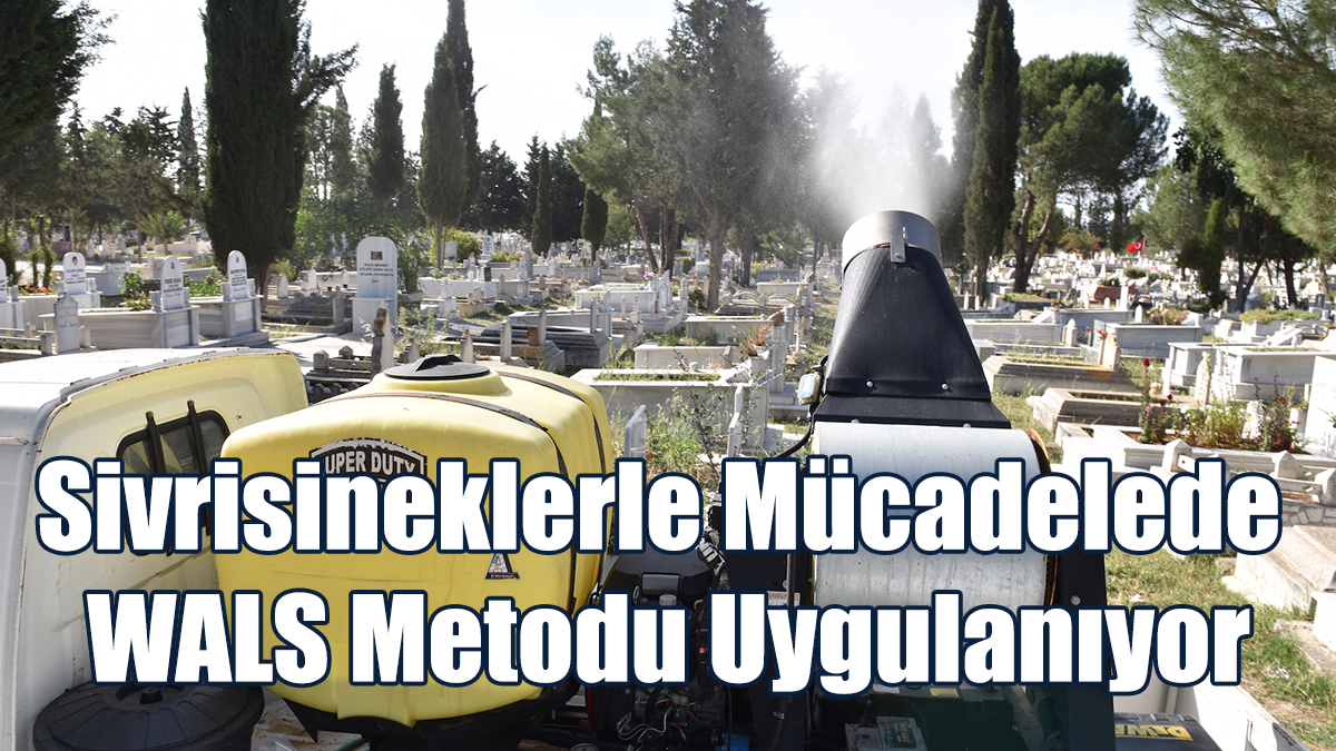 “Asya Kaplan Sivrisineği Ufak Tefek Kaplarda Üreyebilir”