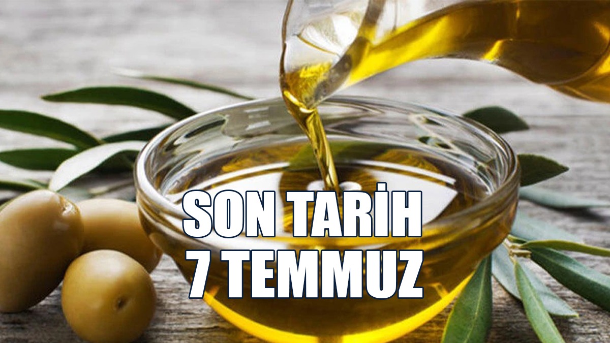 Zeytin İşletmelerinin Kayıt Ve Onay İşlemleri İçin Son Tarih 7 Temmuz