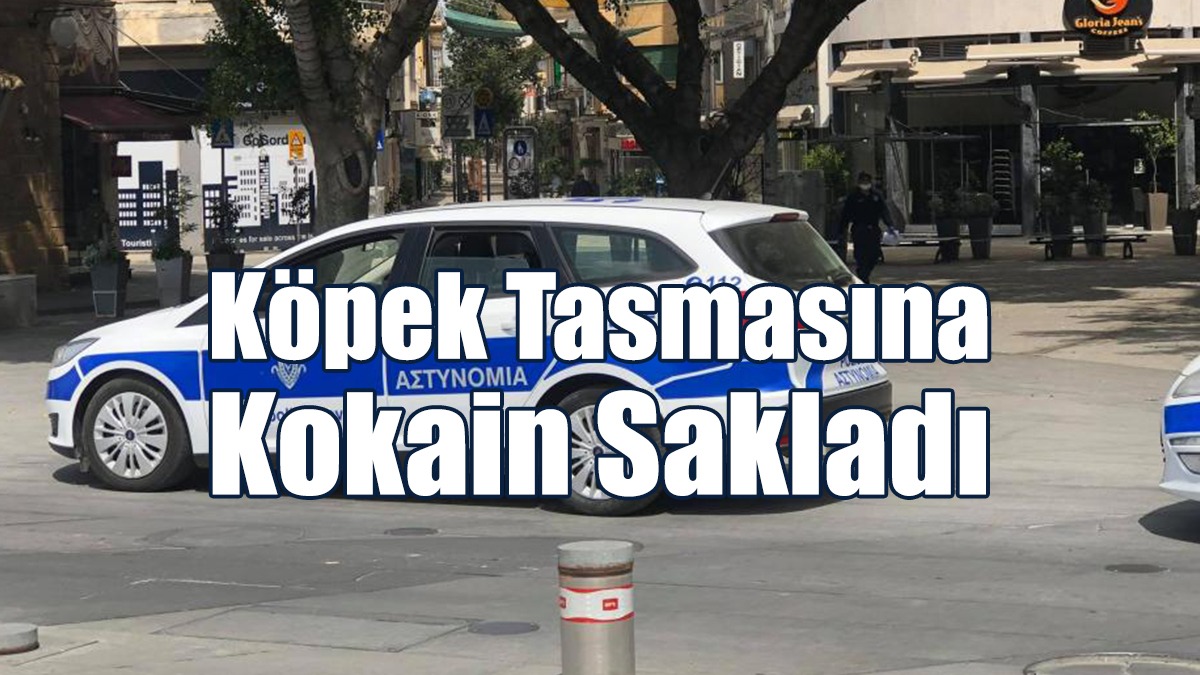 Köpek Tasmasına Kokain Sakladı