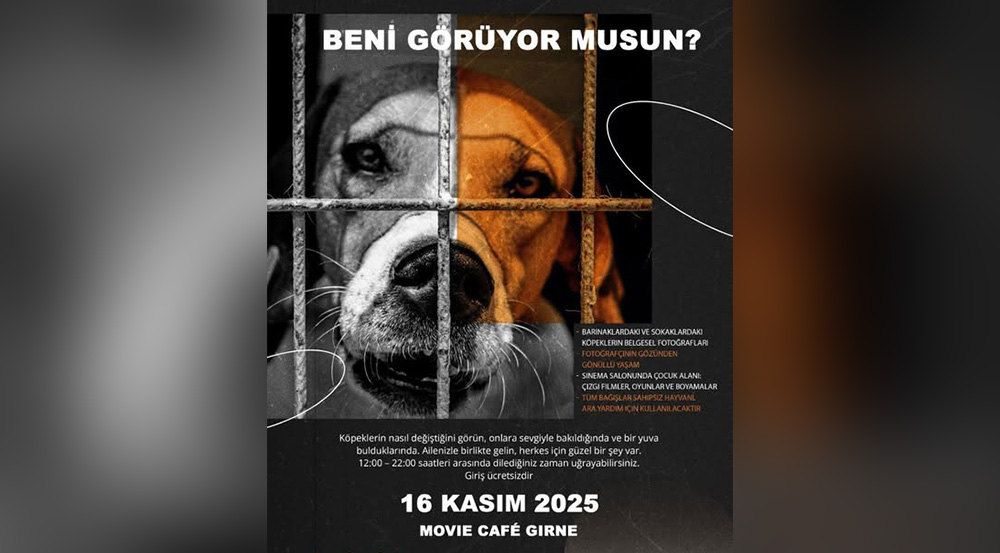 Donskaya’dan sahipsiz hayvanlar yararına sergi: "Beni Görüyor Musun?”