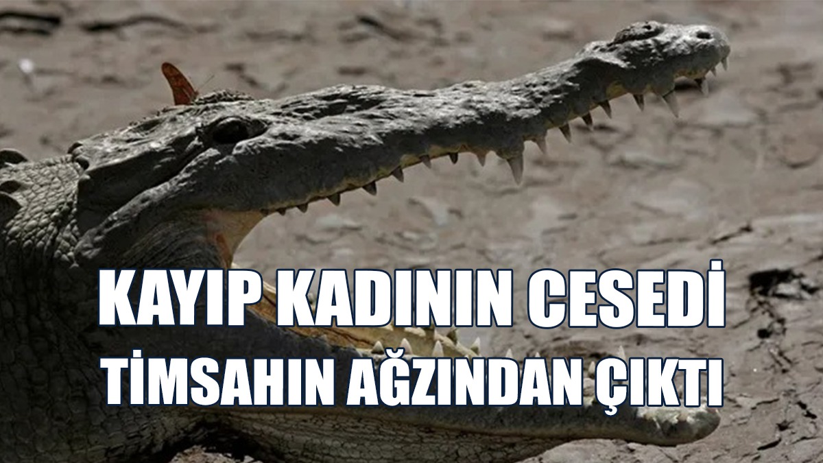 Kayıp Kadının Cesedi Timsahın Ağzından Çıktı