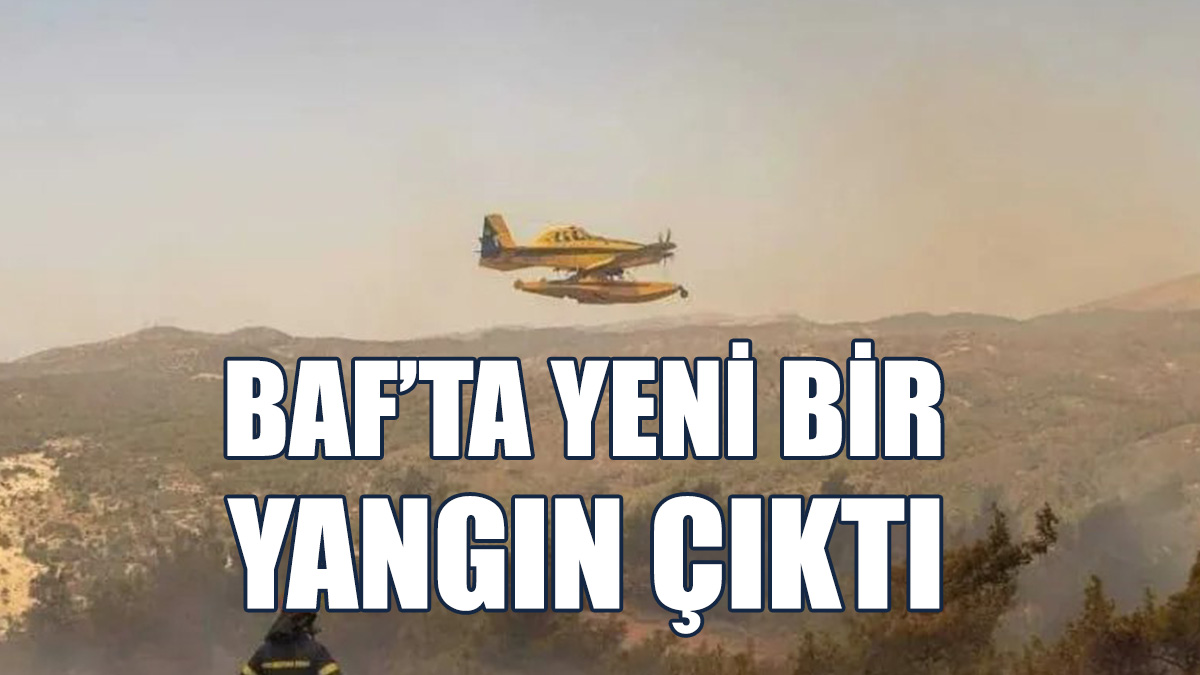 Yolu-Milyu Köyleri Arsında Yangın Çıktı