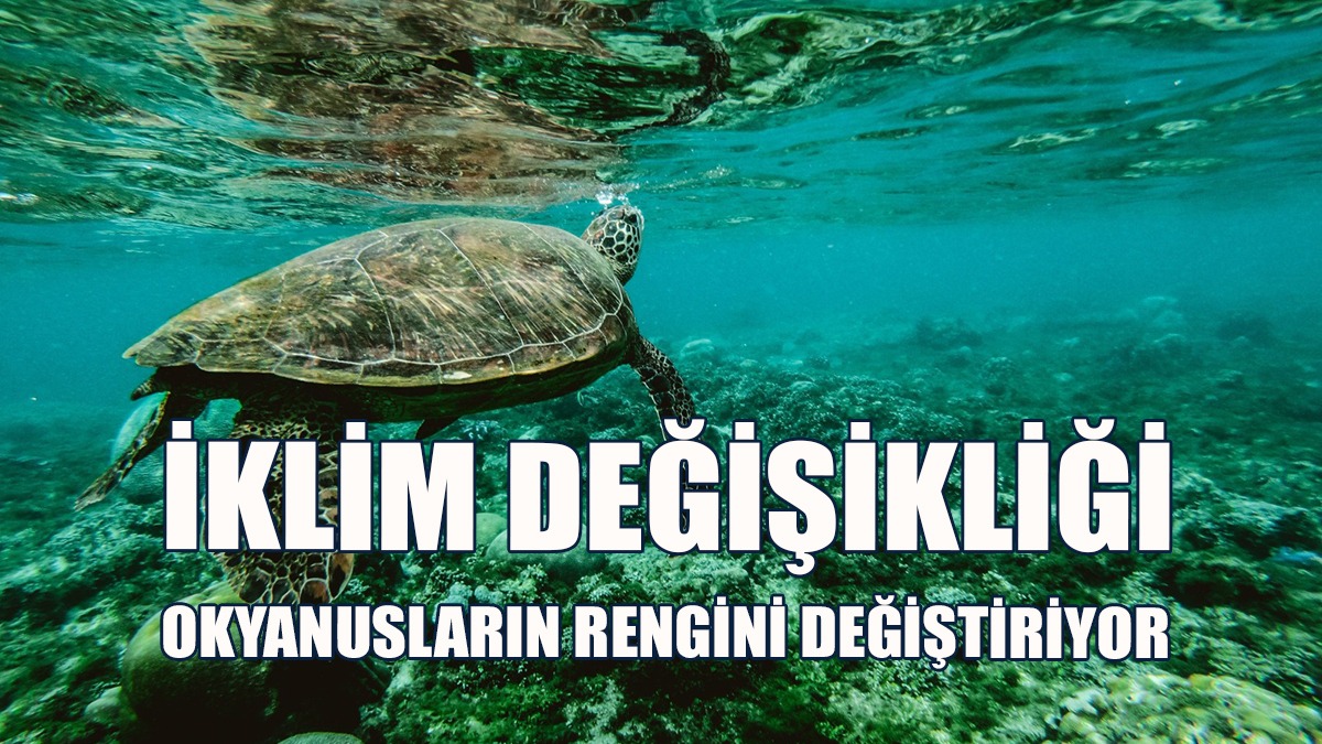 İklim Değişikliği Okyanusların Rengini Değiştiriyor