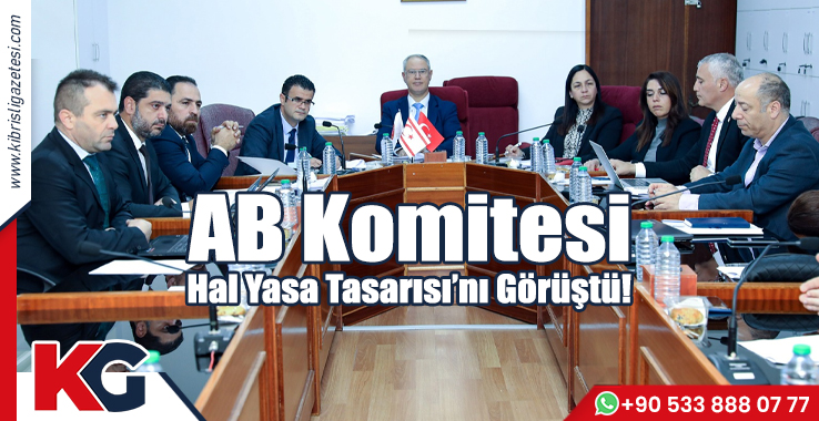 AB Komitesi Hal Yasa Tasarısı'nı Görüştü