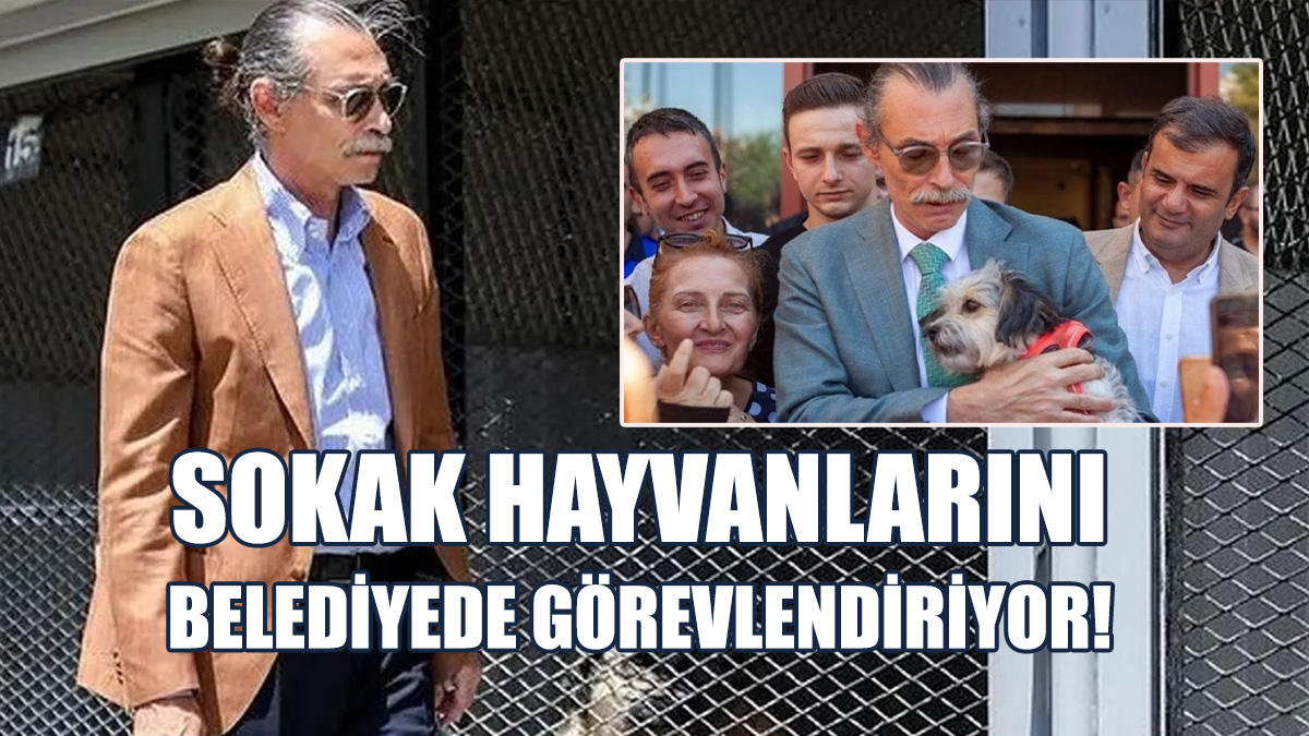 Beşikçioğlu, Köpeklerin İtlaf Edilmesine Karşı Olduğunu Vurguladı