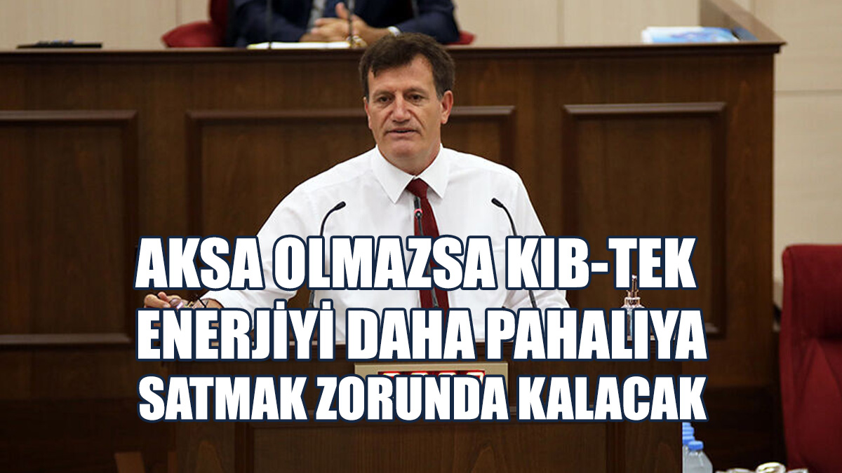 Arıklı: Elektrikte Kilovat Başına Ortalama 1 Lira Zarar Ediliyor