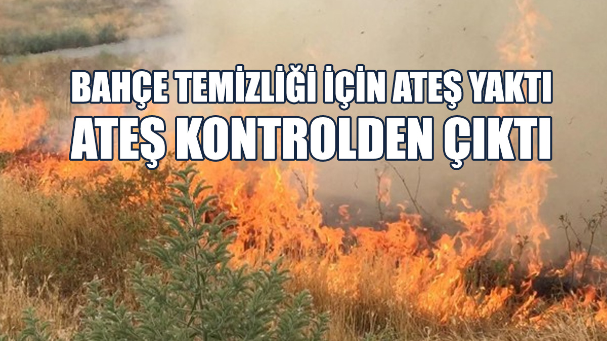 Yangın Sonucu Kuru Otlar, İncir Ve Dut Ağacı Yandı