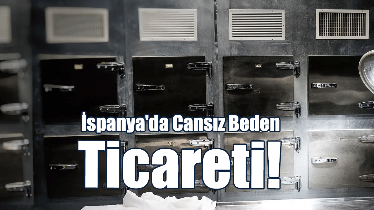 Ceset Hırsızları Yakalandı