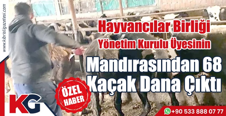 68 Dana Sınırdan Nasıl Geçirildi?