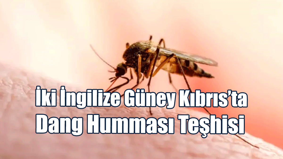 İki İngiliz Güney Kıbrıs’ta Dang Humması Teşhisiyle Tedavi Altında