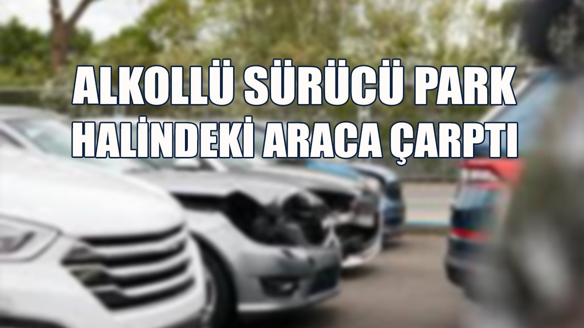 Alkollü Sürücü Park Halindeki Araca Çarptı