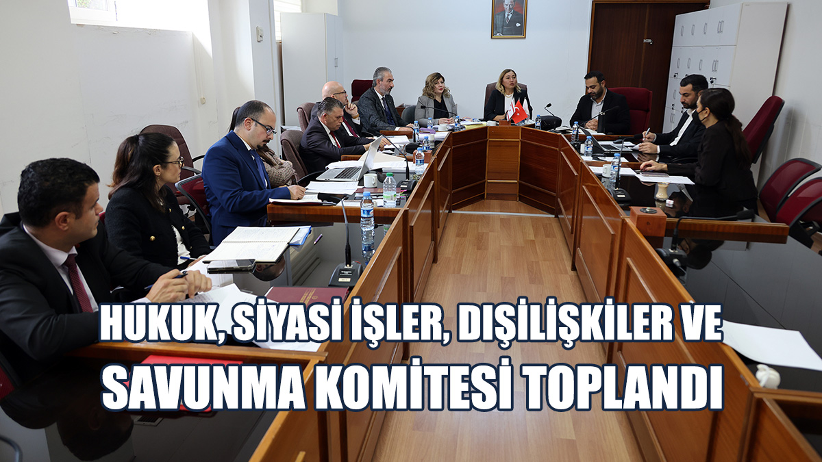 Ceza (Değişiklik) Yasa Önerisi Ele Alındı