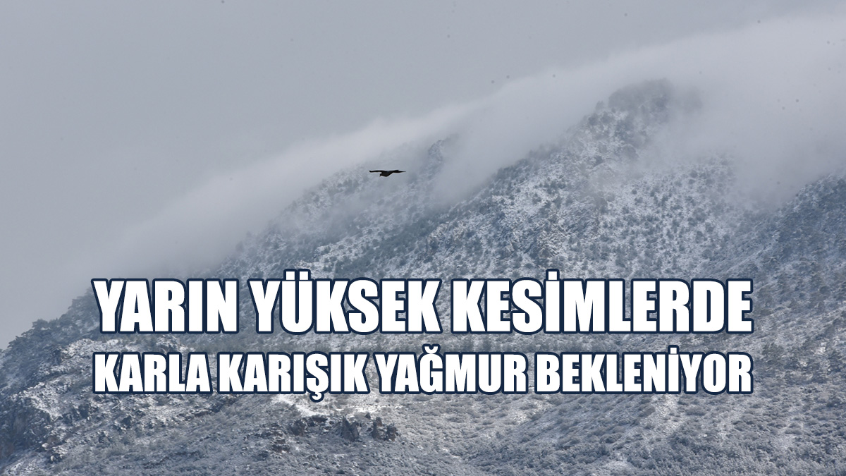 Salı Gününe Kadar Sabah Saatlerinde Don Olayı Yaşanacak