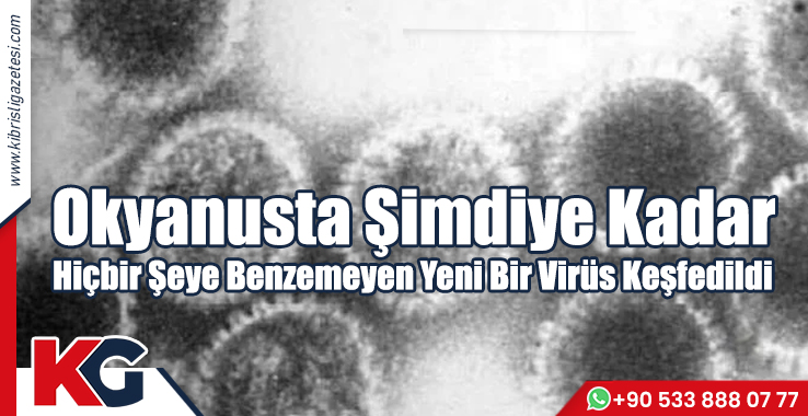 Okyanusta Şimdiye Kadar Hiçbir Şeye Benzemeyen Yeni Bir Virüs Keşfedildi!