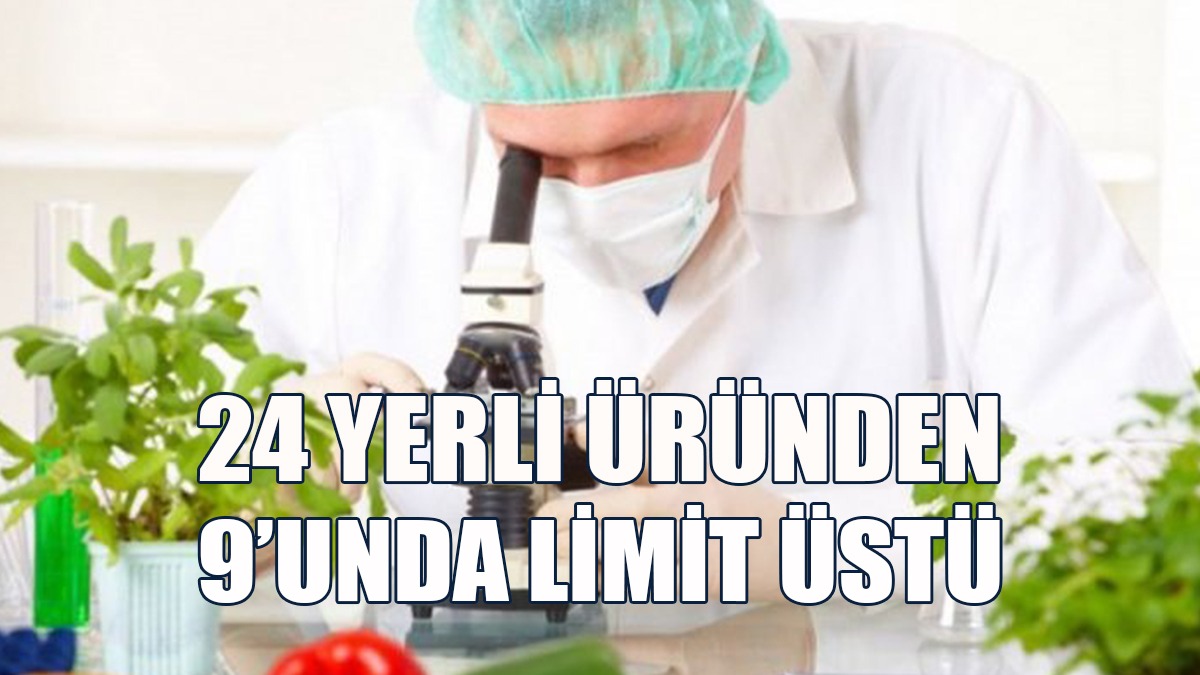 Haftalık Gıda Denetimleri Yapıldı