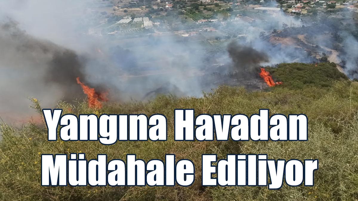 Yangına Havadan da Müdahale Ediliyor