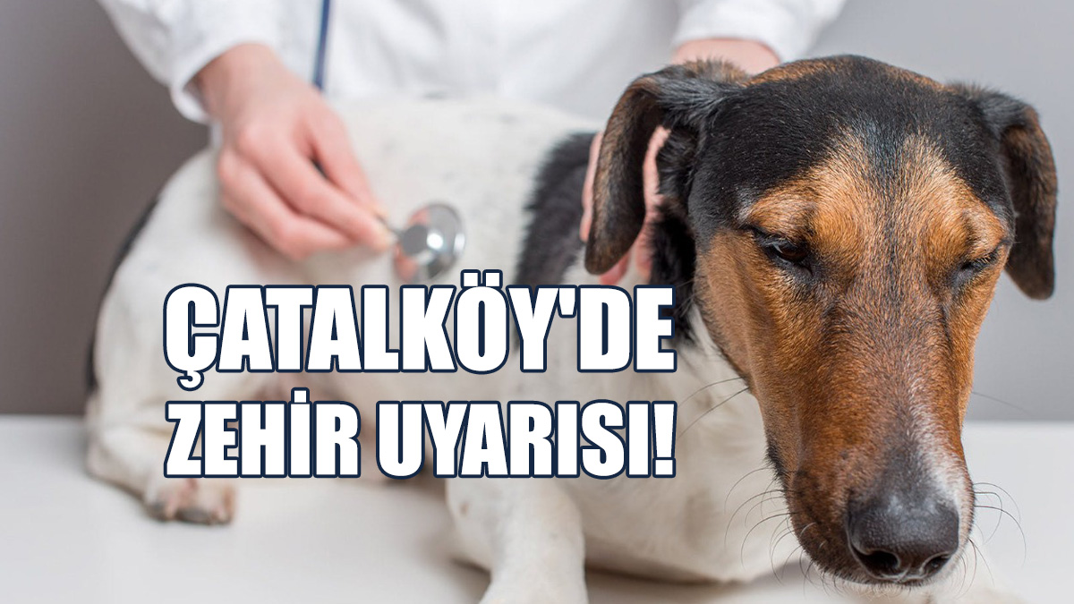 Çatalköy’de Zehirlenme Vakaları Görüldü