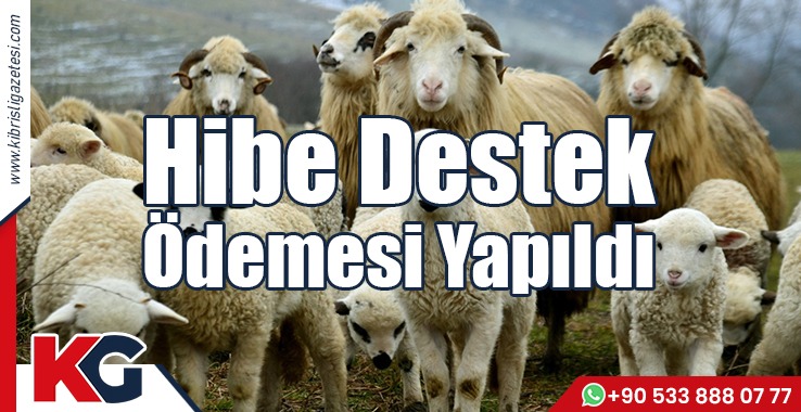 Hibe Destek Ödemesi Yapıldı