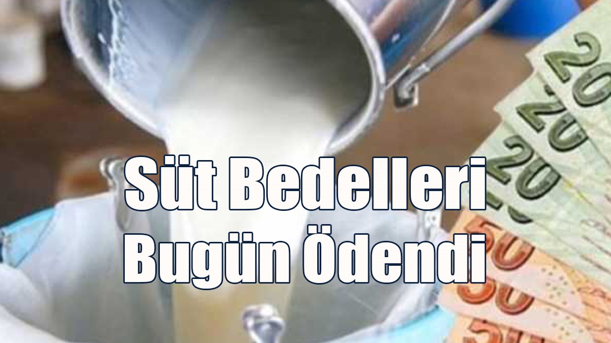 Süt Bedelleri Bugün Ödendi