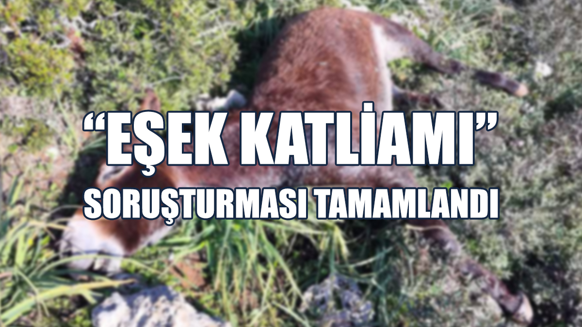 Zanlılardan Biri Serbest Bırakıldı, Üçü Tutuksuz Yargılanacak