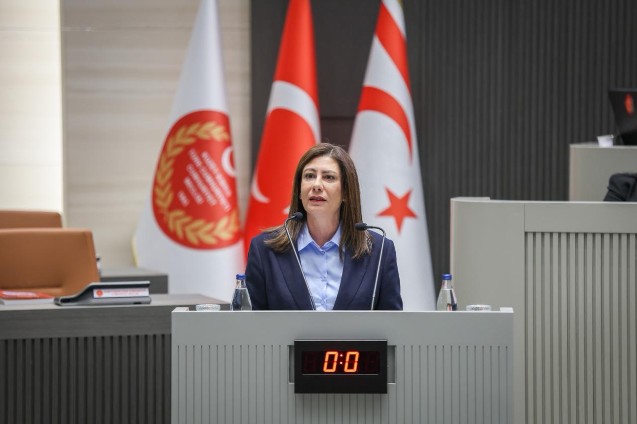 İncirli’den “toplum güvenliği” için olağanüstü Meclis çağrısı