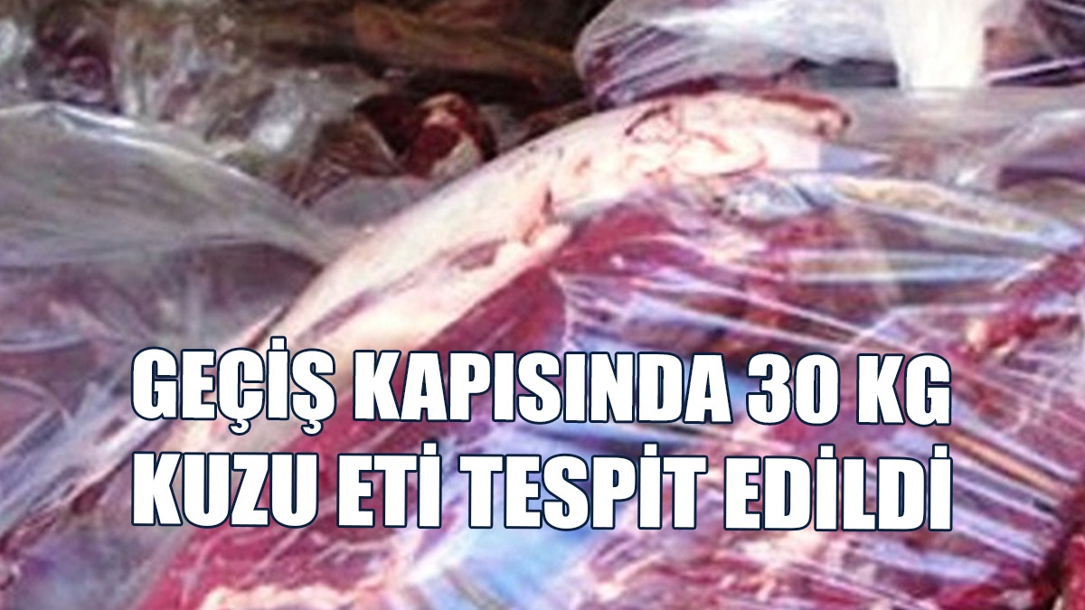 Araçta Yapılan Aramada Beyan Edilmemiş Et Bulundu