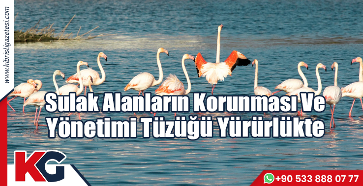 Sulak Alanların Korunması Ve  Yönetimi Tüzüğü Yürürlükte