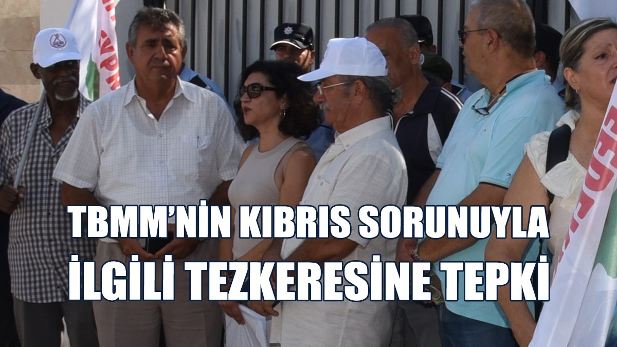 Bazı Sendika, Örgüt Ve Siyasi Partilerden, Tezkereye Tepki