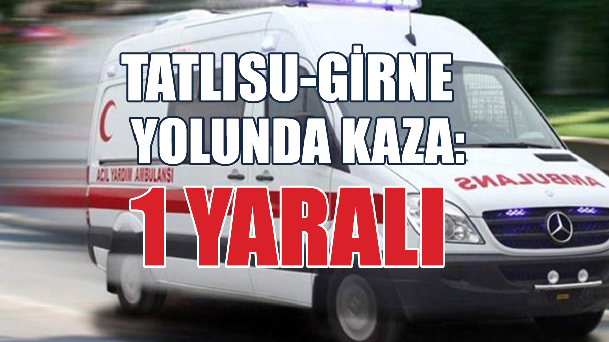 Virajı Alamayan Araç Çelik Bariyerlere Çarptı: 1 Yaralı