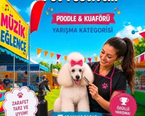 Alagadi’de evcil hayvanları için festival düzenleniyor