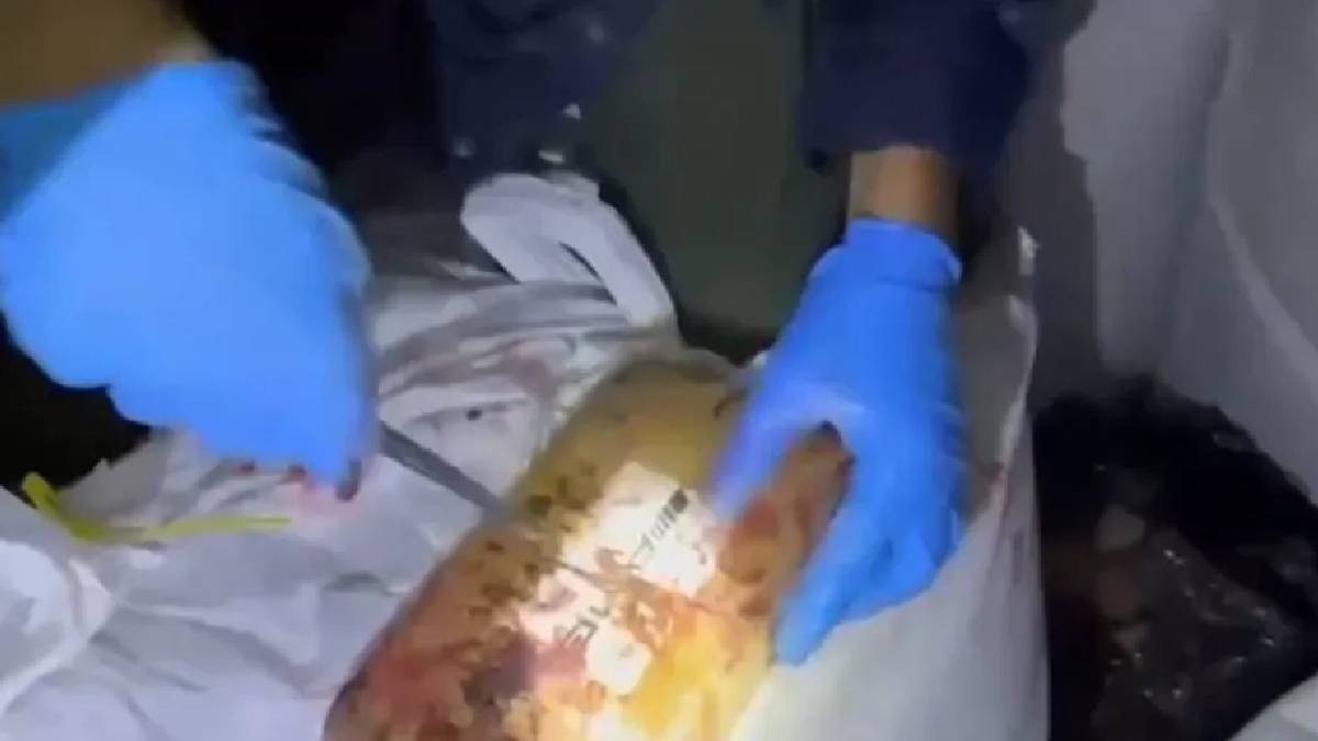 Mersin Limanı'nda 298 kilogram kokain ele geçirildi