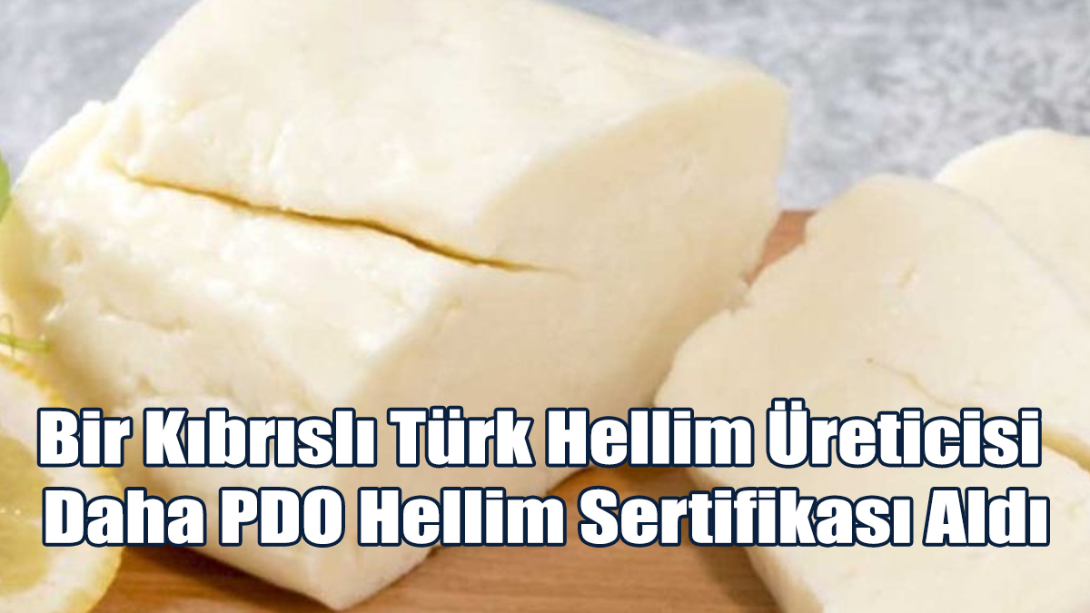 Bir Kıbrıslı Türk Hellim Üreticisi Daha PDO Hellim Sertifikası Aldı
